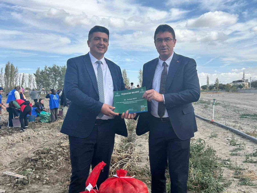 Gençler, "gönüllü Hasat Projesi" Kapsamında Patates Hasadı Yaptı