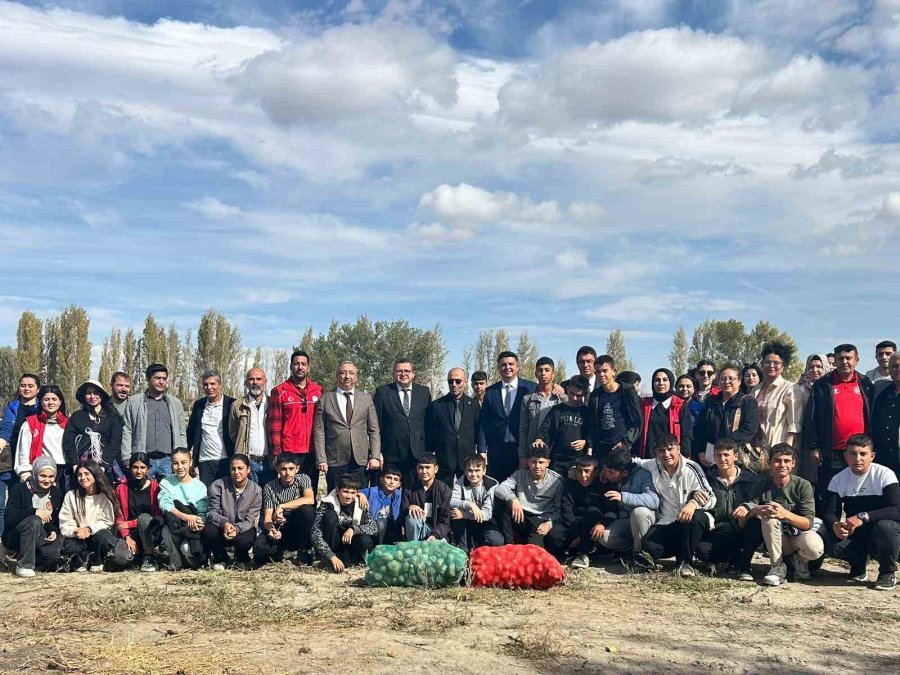 Gençler, "gönüllü Hasat Projesi" Kapsamında Patates Hasadı Yaptı