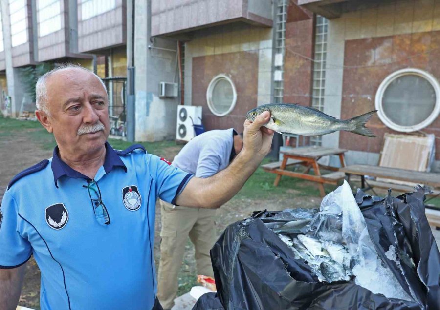 Tayland’tan Süs Balıkları, Tokat’tan Horoz, İstanbul’dan Kalkan Balığı