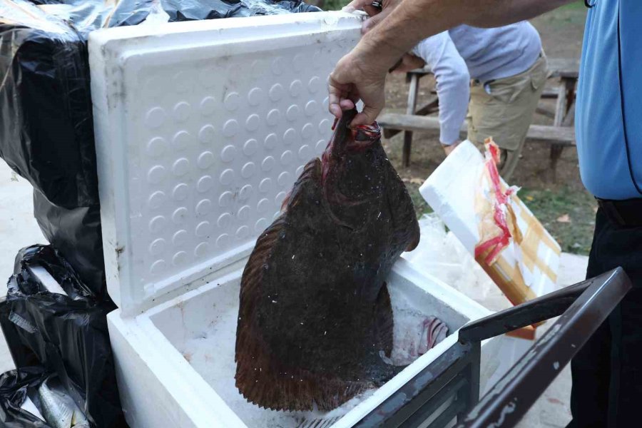 Tayland’tan Süs Balıkları, Tokat’tan Horoz, İstanbul’dan Kalkan Balığı