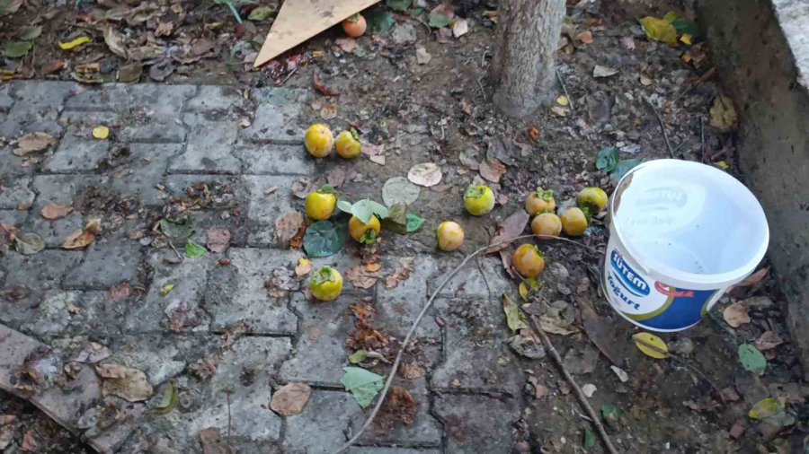 Bacağına Saplanan Korkuluk Demiri İle Hastaneye Kaldırıldı