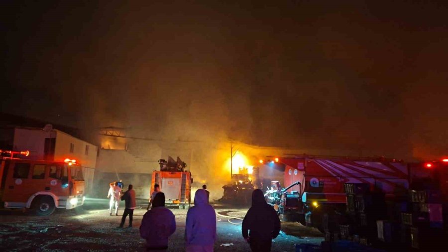 Antalya’da Paketleme Fabrikası Alev Alev Yandı