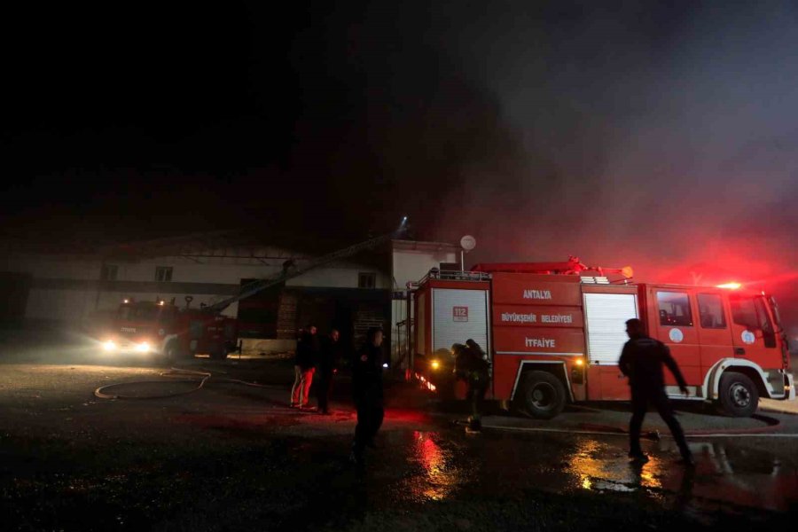 Antalya’da Paketleme Fabrikası Alev Alev Yandı