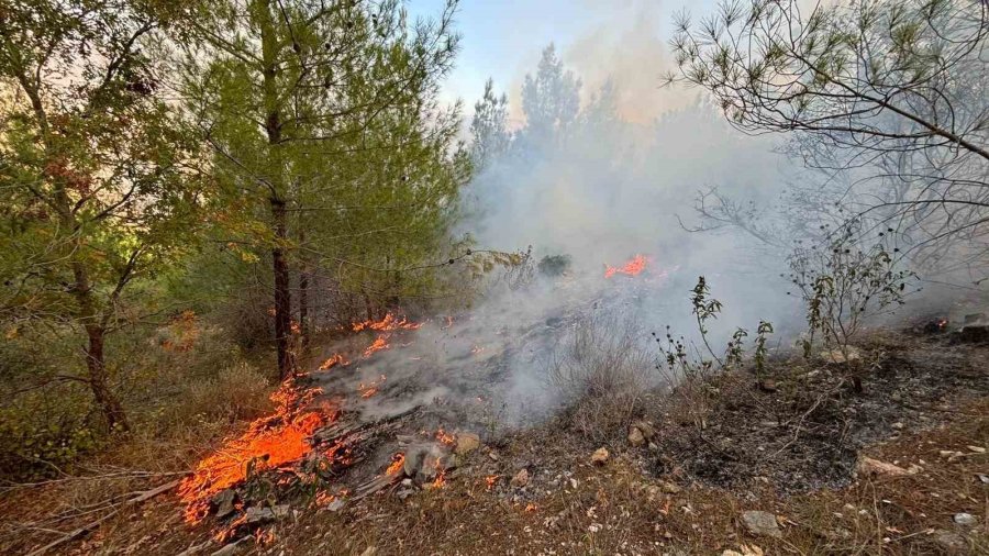 Bozyazı’da Orman Yangını Kontrol Altına Alındı