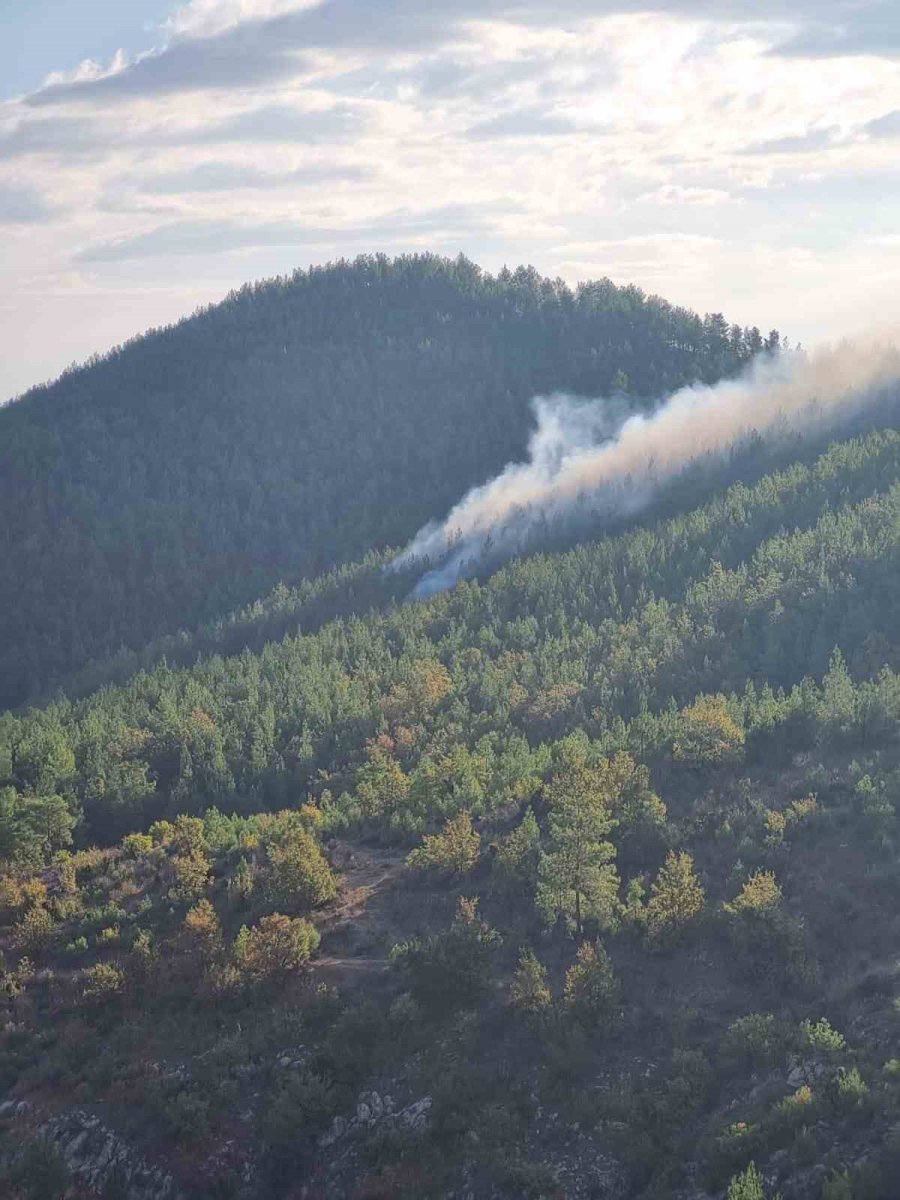 Bozyazı’da Orman Yangını Kontrol Altına Alındı