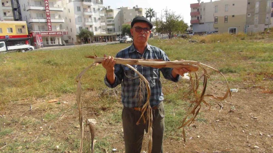 Mersin’de Bir Kişi Yer Altı Su Kaynaklarını Bulabiliyor, Bulduğunda Elektrik Çarpmışa Dönüyor