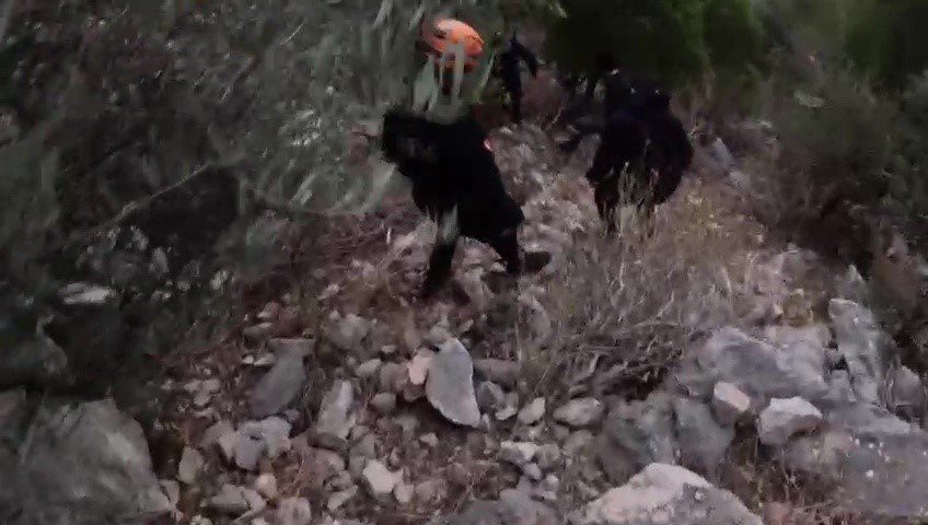 Yürüyüşe Çıktıkları Dağda Mahsur Kaldılar, Yardımlarına Jak Ve Afad Ekibi Yetişti