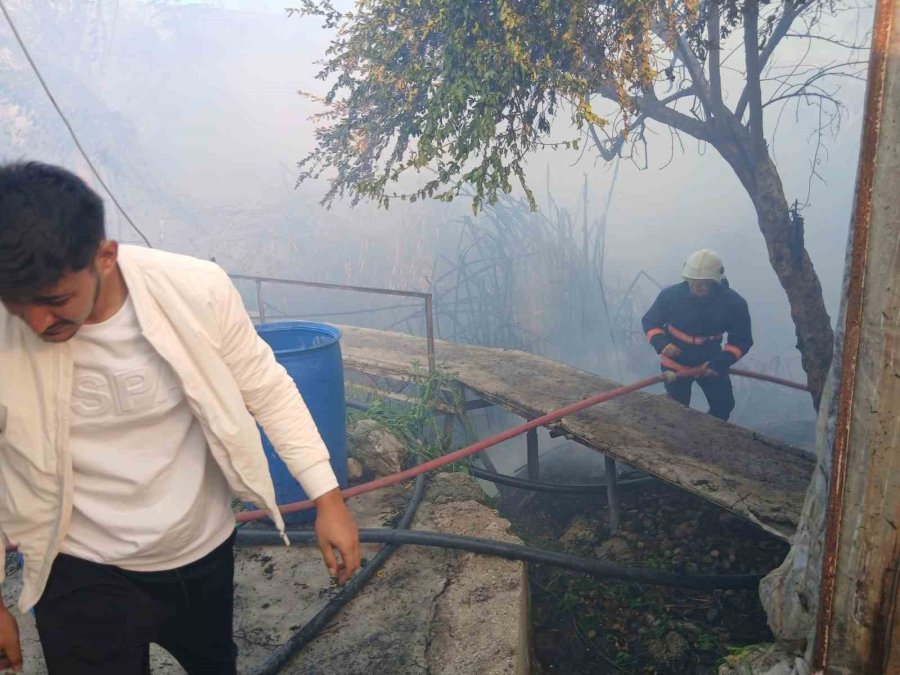 Bozyazı’da Çıkan Yangın Seralara Zarar Verdi