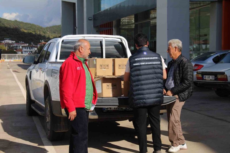 Organik Tarıma Mavi Ve Sarı Yapışkan Tuzak Desteği