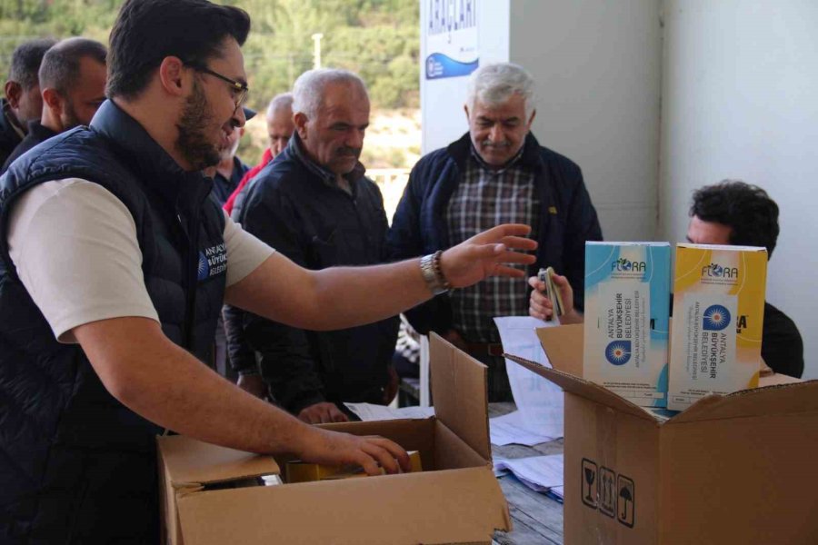 Organik Tarıma Mavi Ve Sarı Yapışkan Tuzak Desteği