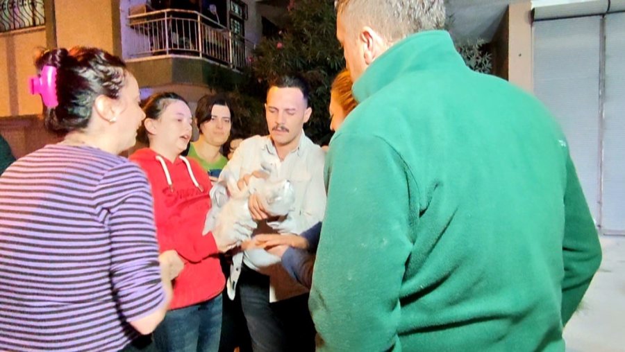 Antalya’daki Yangında 2 Kedi Telef Oldu, Sahipleri Gözyaşlarına Boğuldu