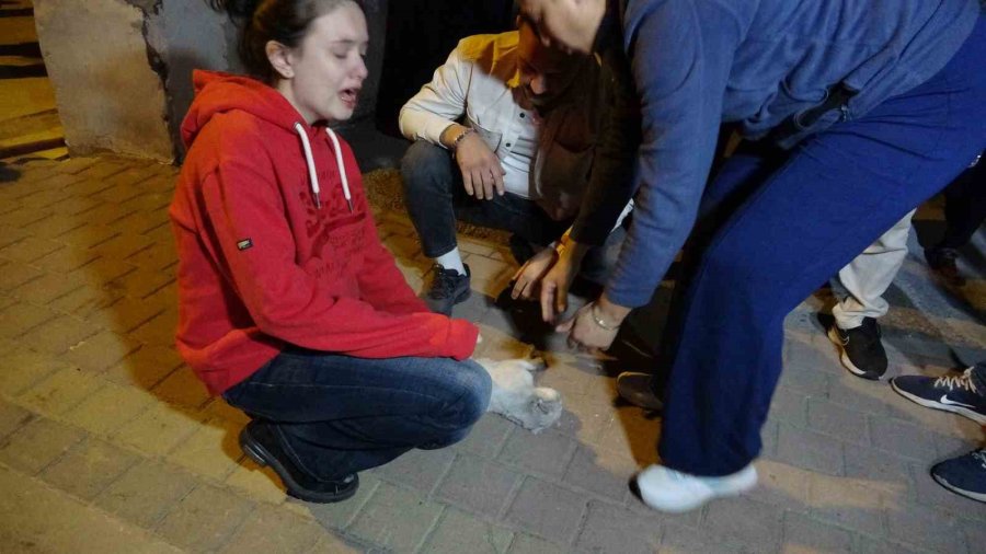 Antalya’daki Yangında 2 Kedi Telef Oldu, Sahipleri Gözyaşlarına Boğuldu