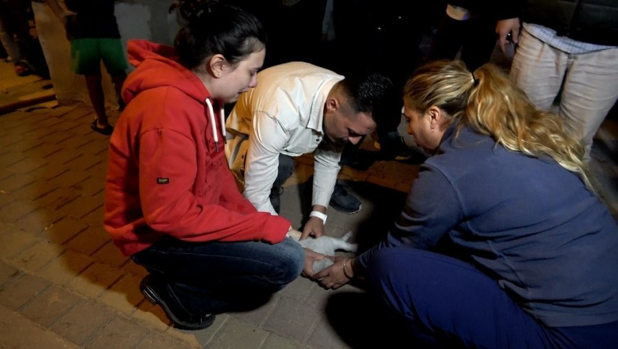 Antalya’daki Yangında 2 Kedi Telef Oldu, Sahipleri Gözyaşlarına Boğuldu