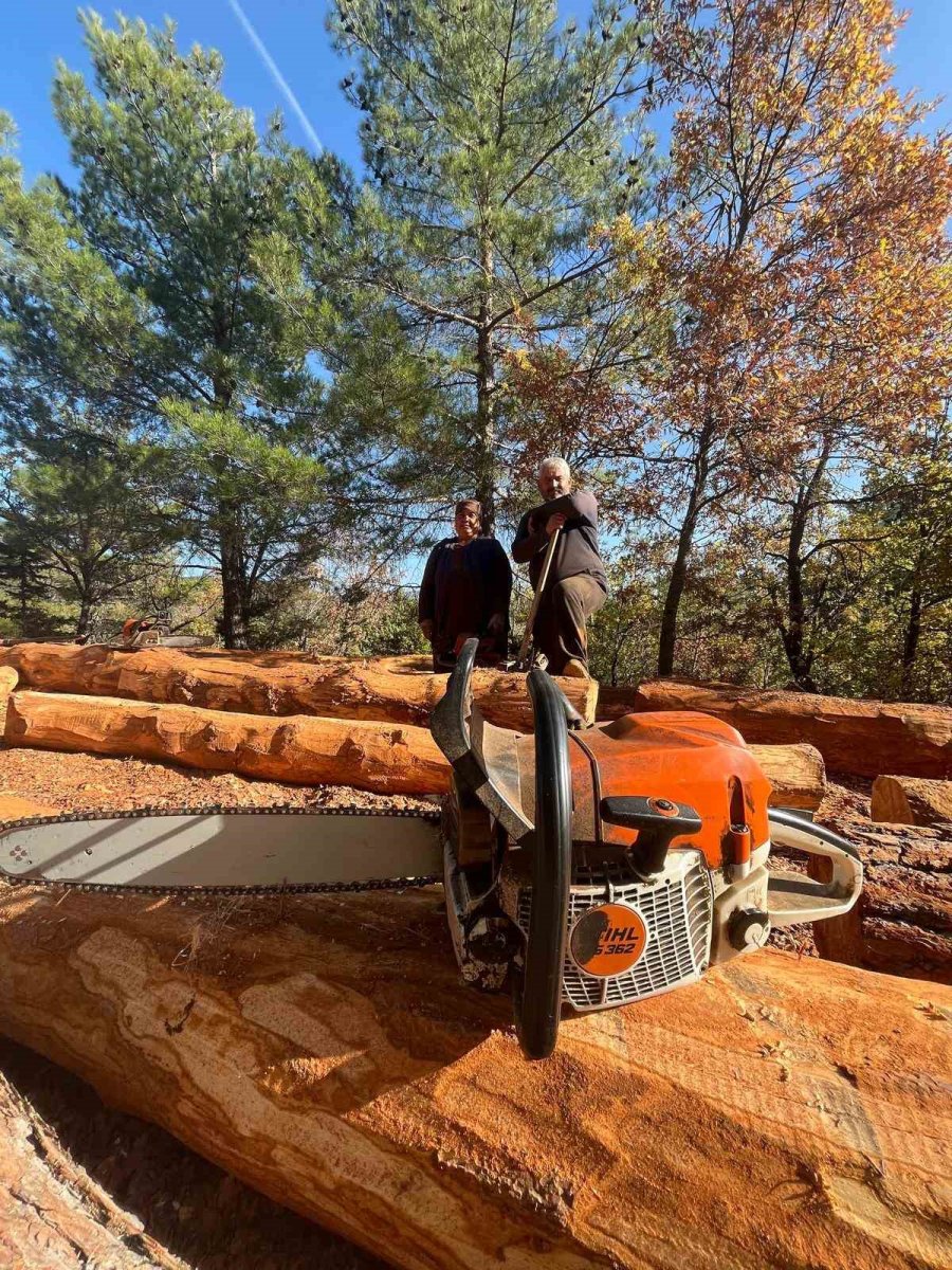 Karı-koca 35 Yıldır Ormanlarda Damgalanan Ağaçları Kesiyorlar