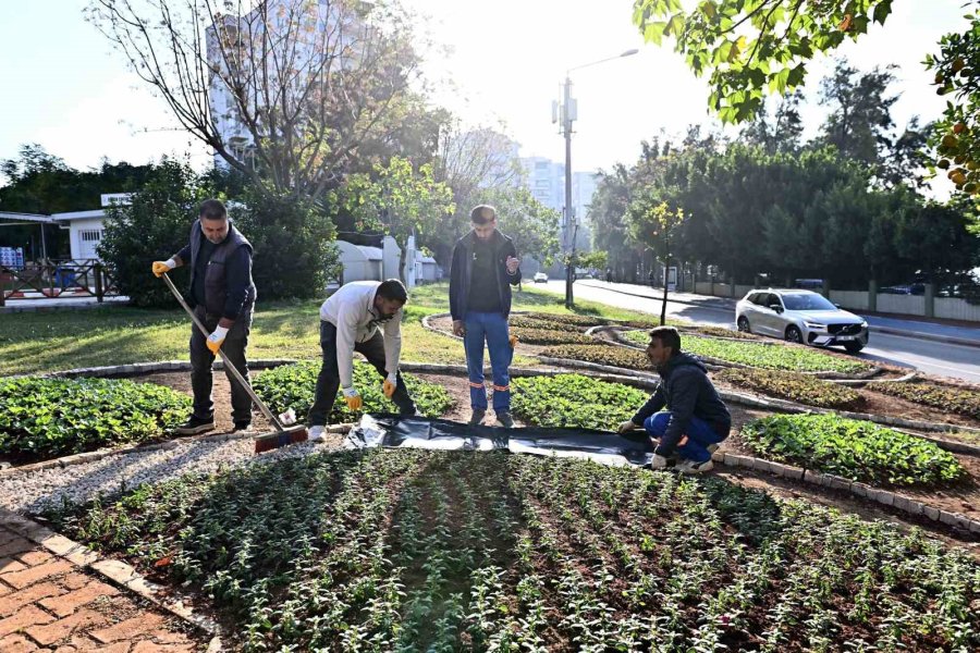 Muratpaşa’da Trafik Parkı Çiçek Bahçesine Dönüştü