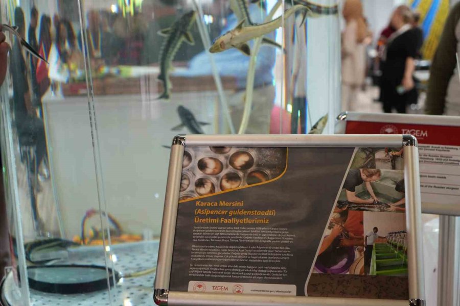 Growtech Antalya Tarım Fuarı Rekor Katılımla Kapılarını Açtı