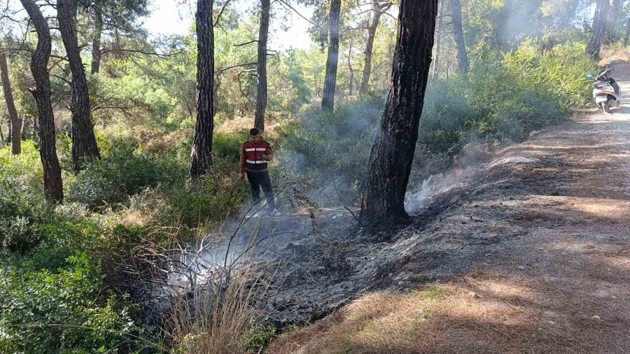Ormanlık Alanda Çıkan Yangını Vatandaşlar Söndürdü