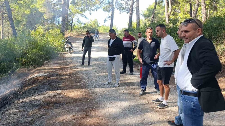 Ormanlık Alanda Çıkan Yangını Vatandaşlar Söndürdü