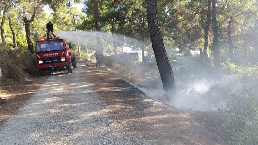 Ormanlık Alanda Çıkan Yangını Vatandaşlar Söndürdü