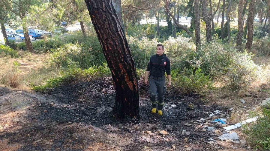 Ormanlık Alanda Çıkan Yangını Vatandaşlar Söndürdü
