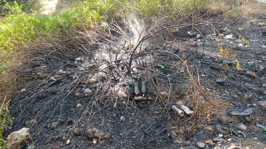 Ormanlık Alanda Çıkan Yangını Vatandaşlar Söndürdü