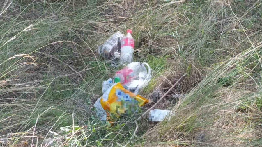 Ormanlık Alanda Çıkan Yangını Vatandaşlar Söndürdü