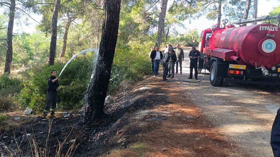 Ormanlık Alanda Çıkan Yangını Vatandaşlar Söndürdü