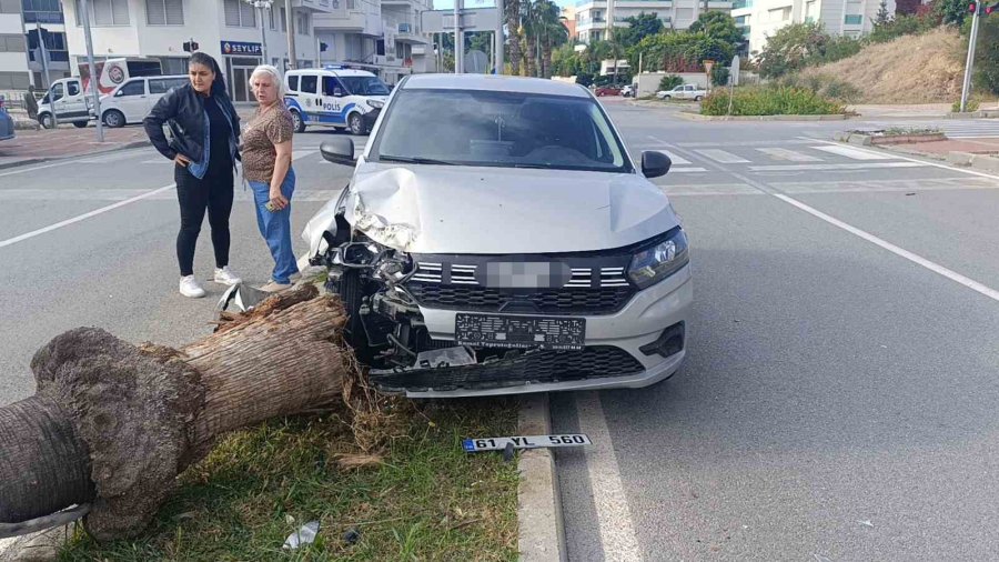 Şoförlük Eğitimi Yaparken Refüjdeki Palmiyeyi Devirdi, Kaza Anı Güvenlik Kamerasına Yansıdı