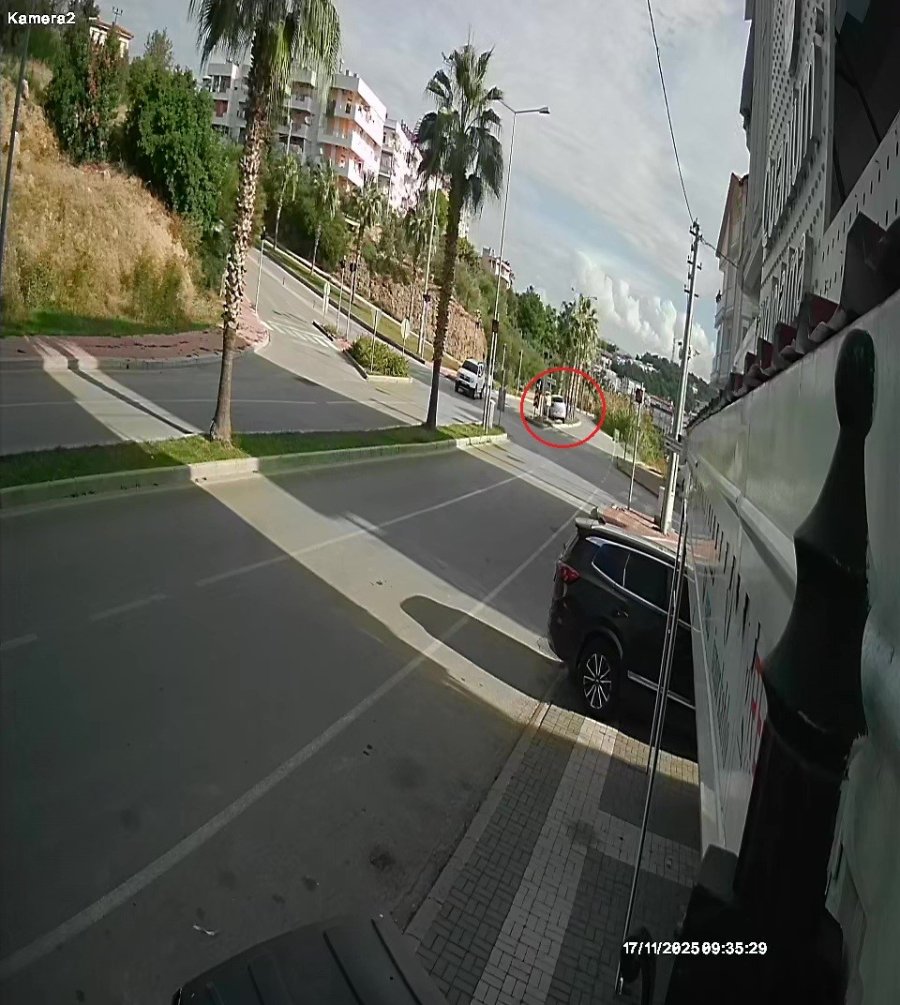 Şoförlük Eğitimi Yaparken Refüjdeki Palmiyeyi Devirdi, Kaza Anı Güvenlik Kamerasına Yansıdı