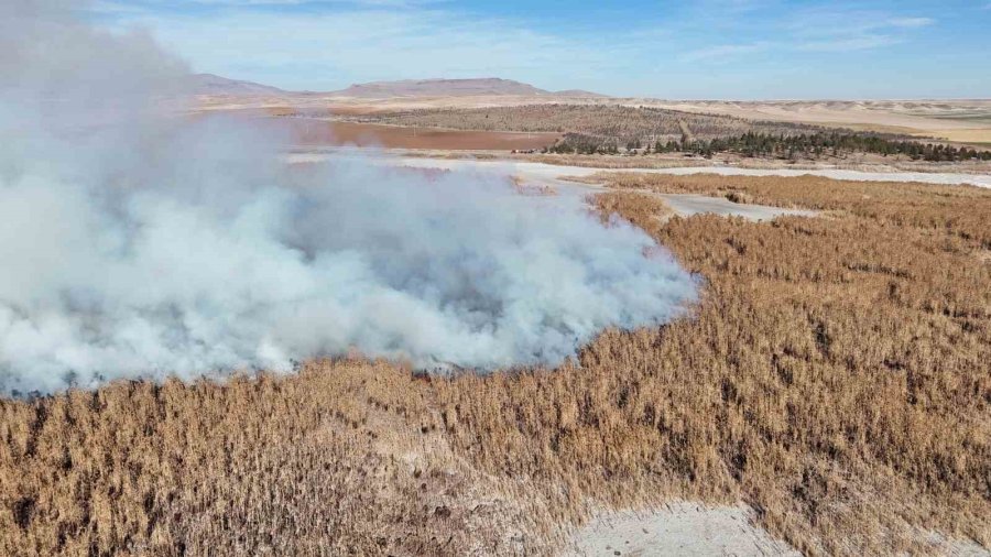 Konya’da Sazlık Alanda Yangını