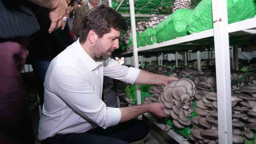 Tarsus’ta İstiridye Mantarı Kursunda İlk Hasat Sevinci