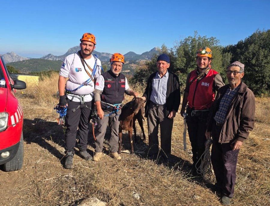 Kaya Oyuğuna Düşen Ve 3 Gün Mahsur Kalan Keçi, Film Gibi Operasyonla Kurtarıldı