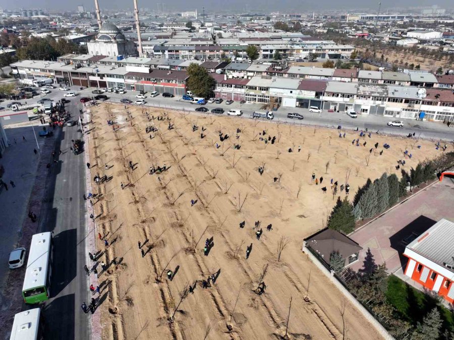 Karatay’da 10 Bin 400 Metrekarelik Alanda Fidan Dikildi