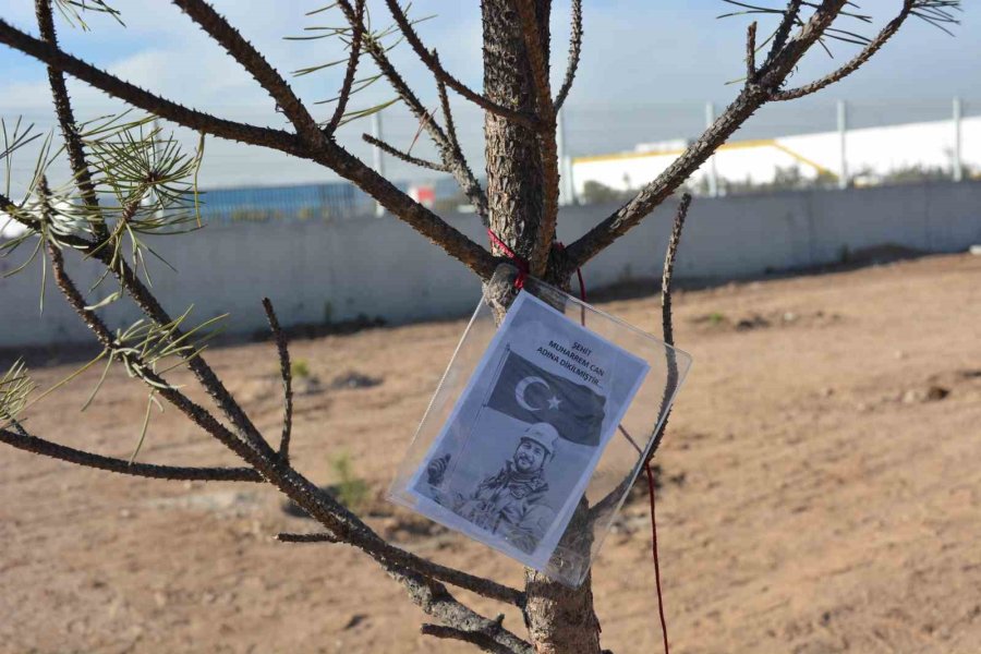 Neü, İki Farklı Etkinlikle Şehitlerin Hatırasını Yeşertti