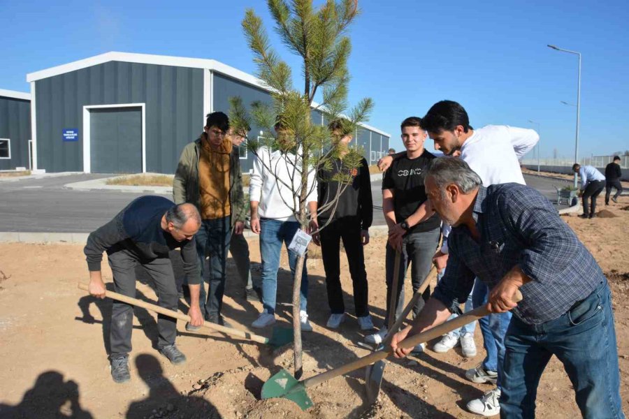 Neü, İki Farklı Etkinlikle Şehitlerin Hatırasını Yeşertti