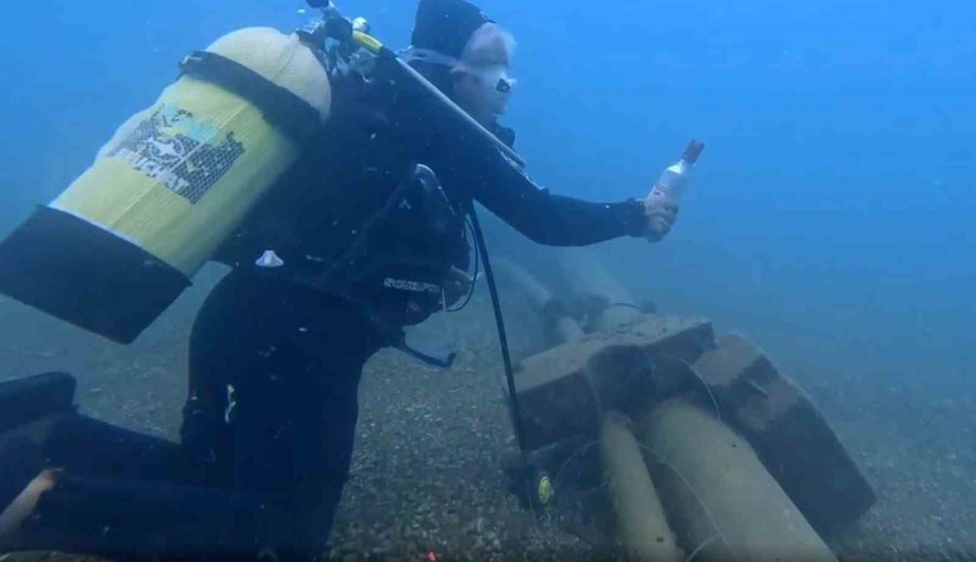 Sigara İzmaritleri Denizde Pamuk Tarlasına Dönüştü
