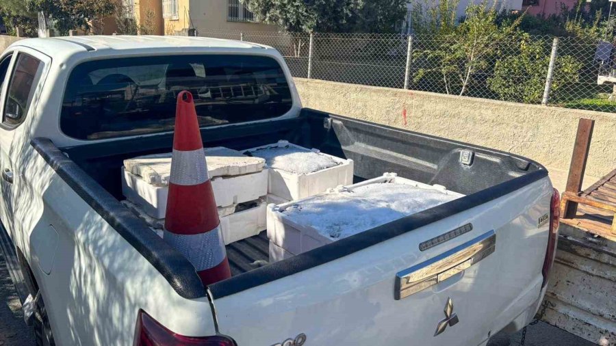 Tarsus’ta İhbar Üzerine 250 Kilo Sağlıksız Balık Ele Geçirildi
