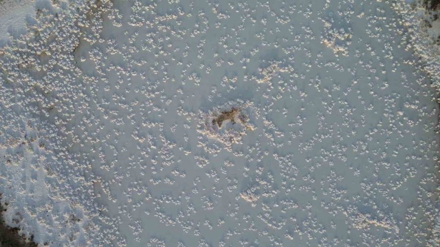 Tuz Gölü’nde Sular Çekildi, Pamukkale Travertenlerini Andırdı