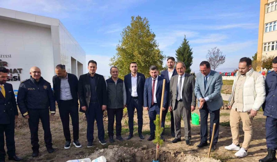 Beyşehir’de Fidanlar Toprakla Buluştu