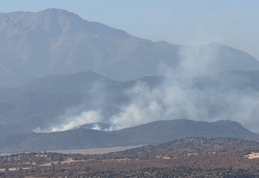Beyşehir’de Sazlıklar Alev Alev Yandı