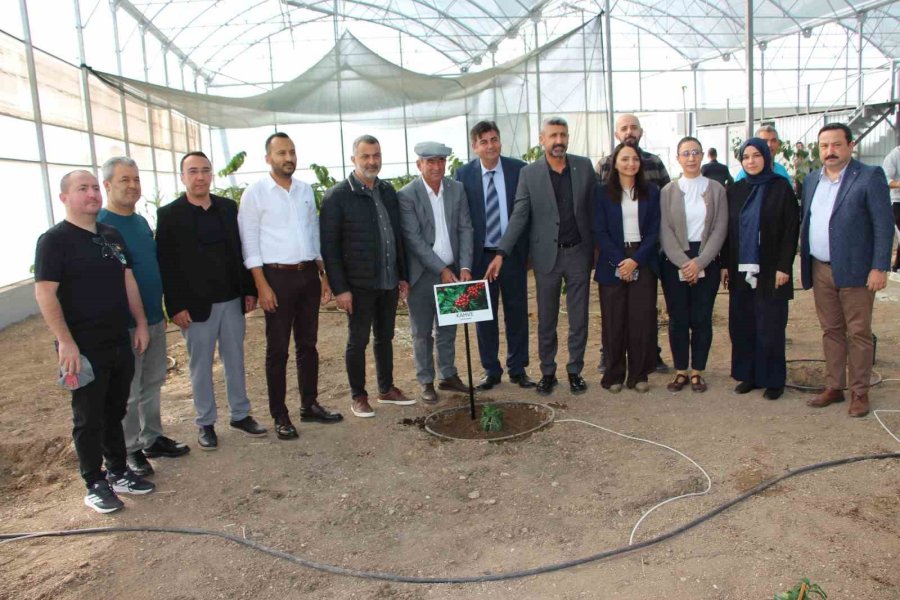 Çocuklara Hem Teorik Hem Uygulamalı Eğitim