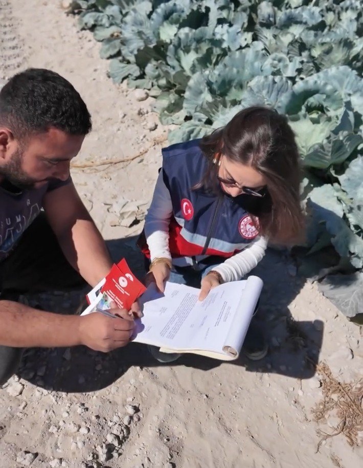 Niğde’de Lahana Tarlalarında Pestisit Denetimi Yapıldı