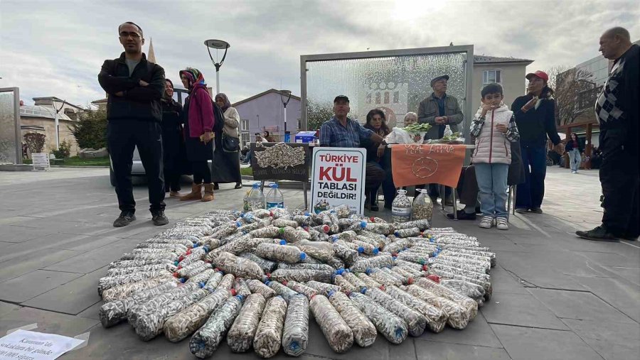 Akademisyen Ve Gönüllüler 2 Ayda 100 Bin Sigara İzmariti Topladı