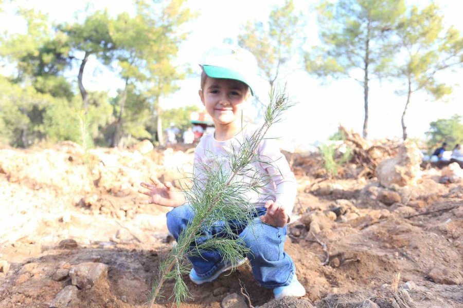 Kepezli Minikler, Yangın Sonrası Orman Alanına Umut Dikti