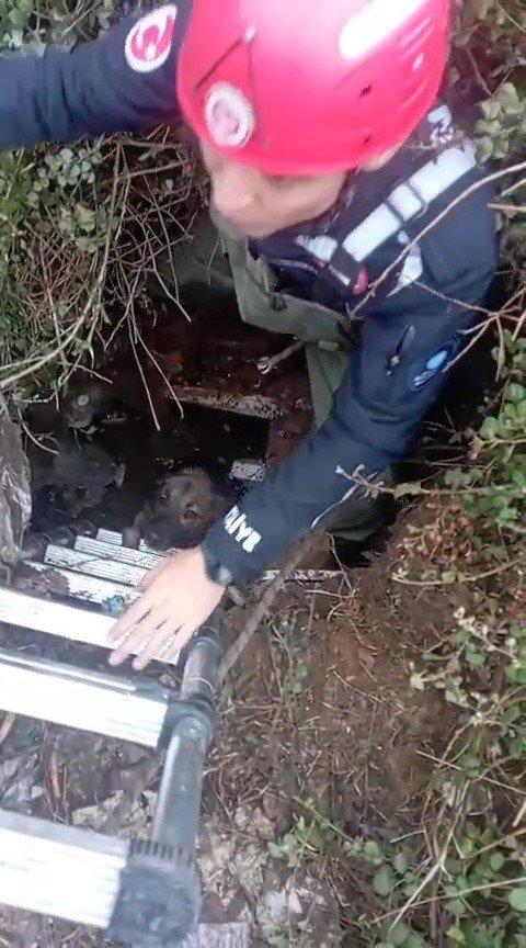 Foseptik Çukuruna Düşen Köpeği İtfaiye Kurtardı