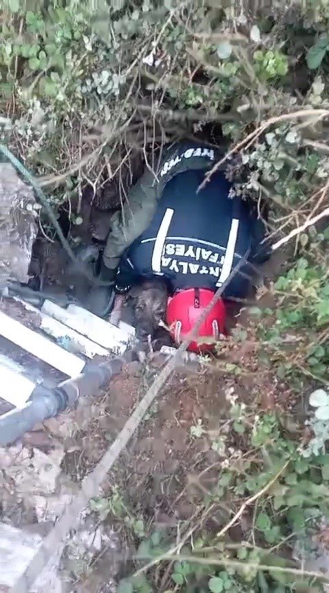 Foseptik Çukuruna Düşen Köpeği İtfaiye Kurtardı