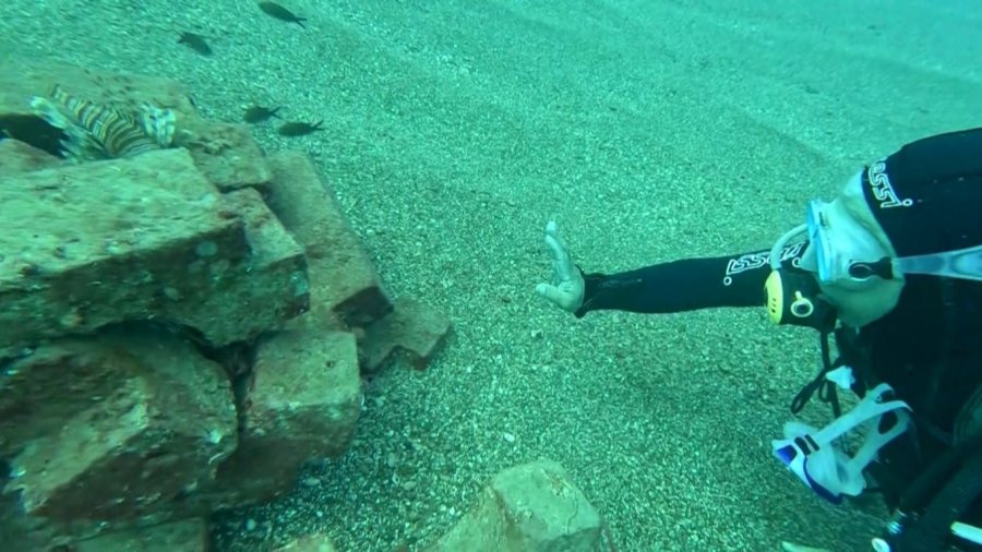 Profesör Deniz Dibinde Taşlardan Balıklara Yuva Yaptı: 12 Tür Barış İçinde Yaşıyor