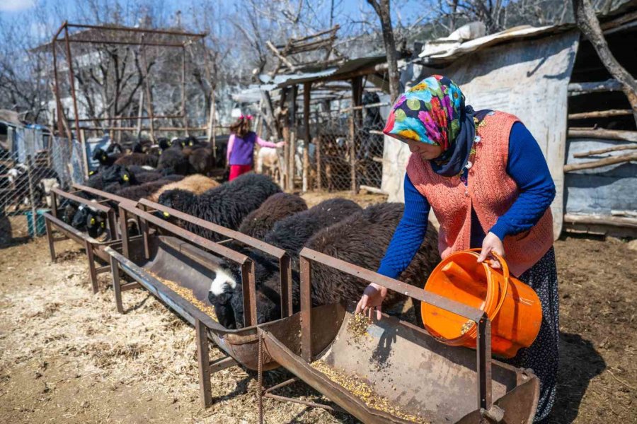 Mersin Büyükşehir Belediyesi, Kadına Şiddetle Mücadelede Yerel Destek Ağı Oluşturuyor