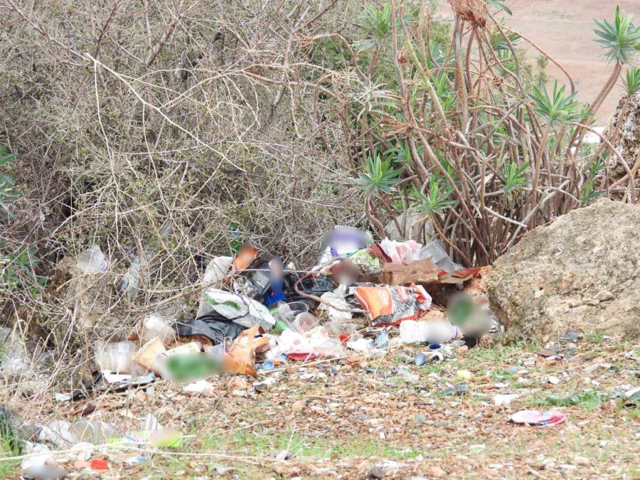 Üç Hafta Önce 60 Çuval Çöp Toplanan Caddeden Bu Sefer 80 Çuval Çöp Çıktı