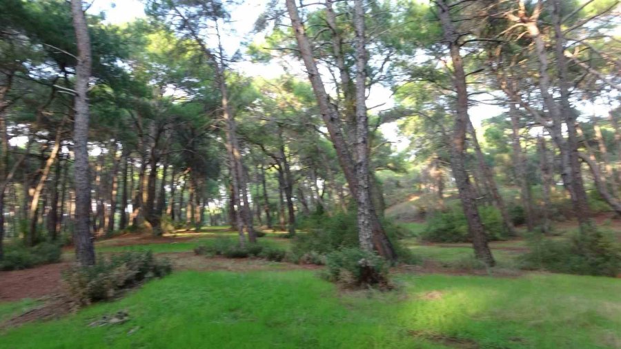 Jandarmadan Ormanlık Alanlarda Kangal Ve Ateş Nöbeti